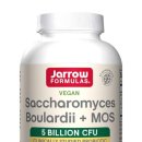 암 투병 과정에서 잦은 설사 증상에 보조적으로 도움되는 유산균 이미지