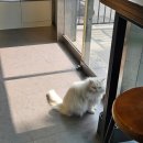 도담도담동물병원 이미지