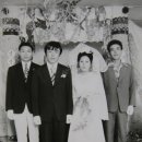 선흘리에 이미지