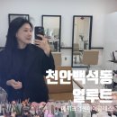 얼루트