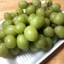 효곡 청과 네이버블로그