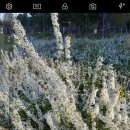 가음로-1 이미지