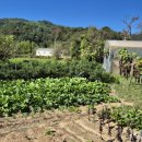 더 굿모닝 민박 이미지