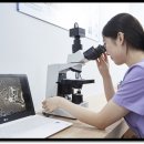 부산센텀치과의원 네이버블로그