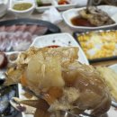 죽도민물매운탕 | 포항 대게 맛집 죽도시장 갈릴리대게회식당