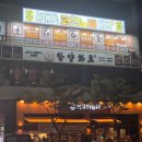 거북이 노래연습장 이미지