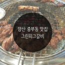 양산 중부동 맛집 그린피그갈비, 양산역 근처로 이전했어요:)
