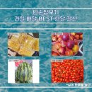 길동청과