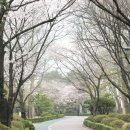 수봉공원 (약수터) 이미지