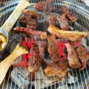 도동참숯화로 | 울산 달동 고기 맛집 도동참숯화로에서 한우 등심 안심 갈비살 된장짜글이까지