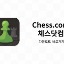 두뇌발달체스 이미지