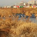 징검다리 도서관 이미지