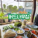 배나무집툇골오리 | 인천대공원맛집 추천🌿 낮술·노포감성 끝판왕 ‘버드나무집’ 오리로스 리뷰