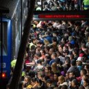 바글바글 이미지