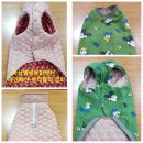 문화애견 이미지