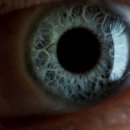 큐브(CUBE) 이미지