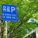 둔산중로-41 이미지