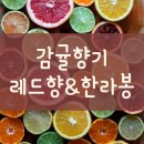 감귤향기힐링파크 이미지