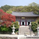 산수1리(통곡1리) | [스크랩] 하동...쌍계사(2)