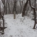 종여울산(99)소산(59)동산(46)용머리산(40)태봉(52)중촌산(46)석포산(46)굴바위산(194m)/서울서초 이미지