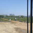 임대희농장 이미지