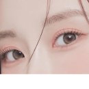 렌즈베리 이미지
