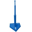 뉴스포츠 이미지