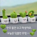 도남 Daum카페