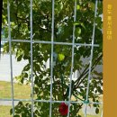 청도프로방스펜션민박 이미지