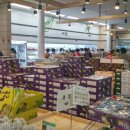 세종 도시와 자동차 이미지