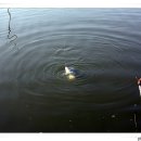 신촌낚시터 이미지