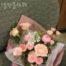 델핀플라워 이미지