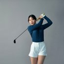 팜트리앤코 이미지