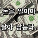 도약 티스토리