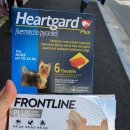 해동가축병원 이미지