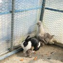 만나목장 이미지