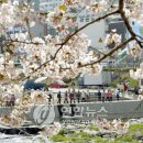 내장상동 대림아파트 이미지