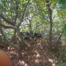 해맞이민박 이미지