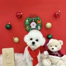 끌레르독 이미지