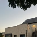 be Lazy | 제주워케이션 후기 2편 (숙소 : 비레이지)