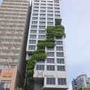 M호텔 | 다낭 M호텔 조식 수영장 위치 후기