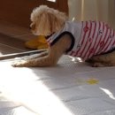 중마동물병원 이미지