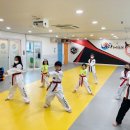 품다태권도장 이미지