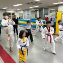 베스트태권도&줄넘기클럽 이미지