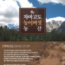 차마고도능이버섯