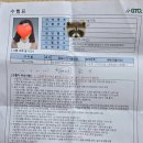 포토샵과 그래픽 | [합격후기] 2026년 포토샵(GTQ) 1급 합격 후기🌱