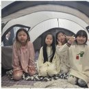 팀태권도장 이미지