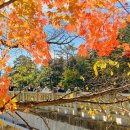 가을탐방(가족) 이미지