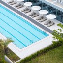 기린 캠프랜드 이미지