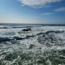 울진해양경찰서 이미지